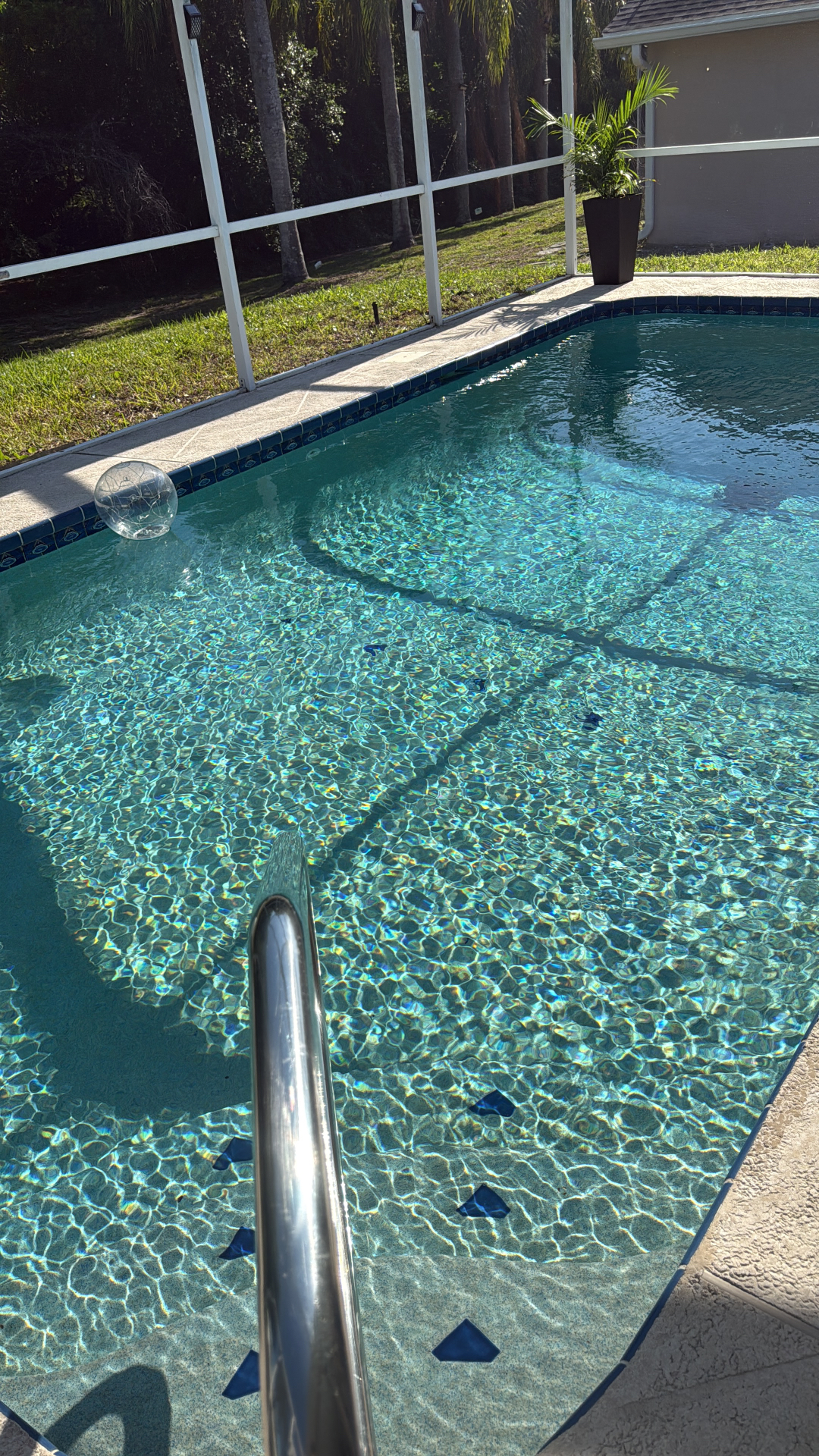 Crystal-Clear Pool Recovery — Pools by American Apex Construction